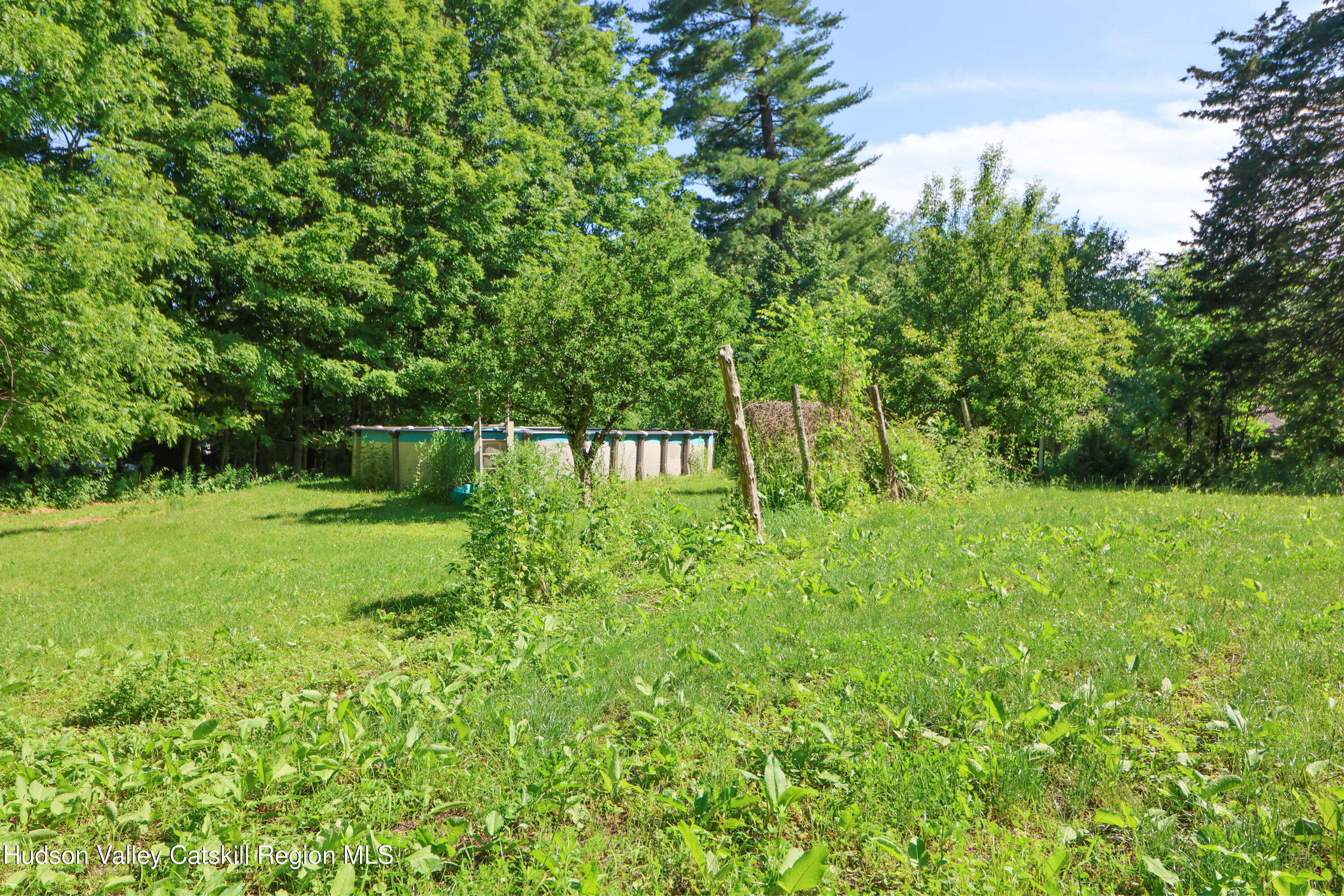4320 Highway 209 Stone Ridge, NY 12484 - Photo 58 of 63 3D2A2639