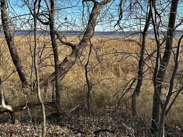 $70,000 | Tbd Hummingbird Way Southwest, Alexandria, MN 56308