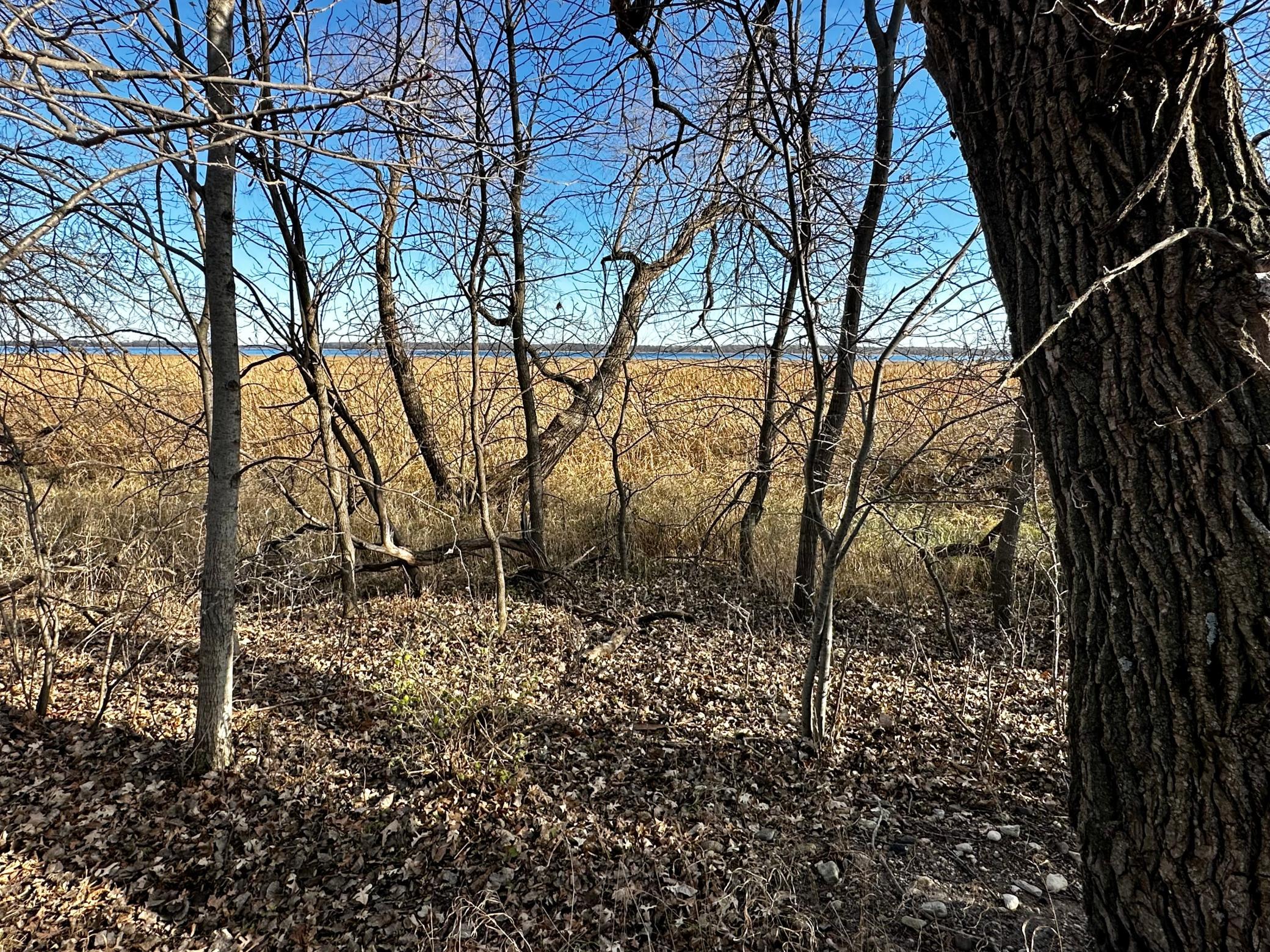 Tbd Hummingbird Way Southwest Alexandria, MN 56308 - Photo 3 of 22