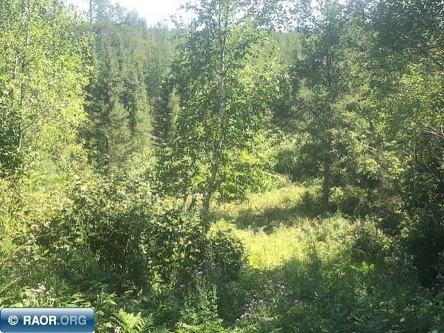 Three Mile Road Hoyt Lakes, MN 55750 - Photo 12 of 18