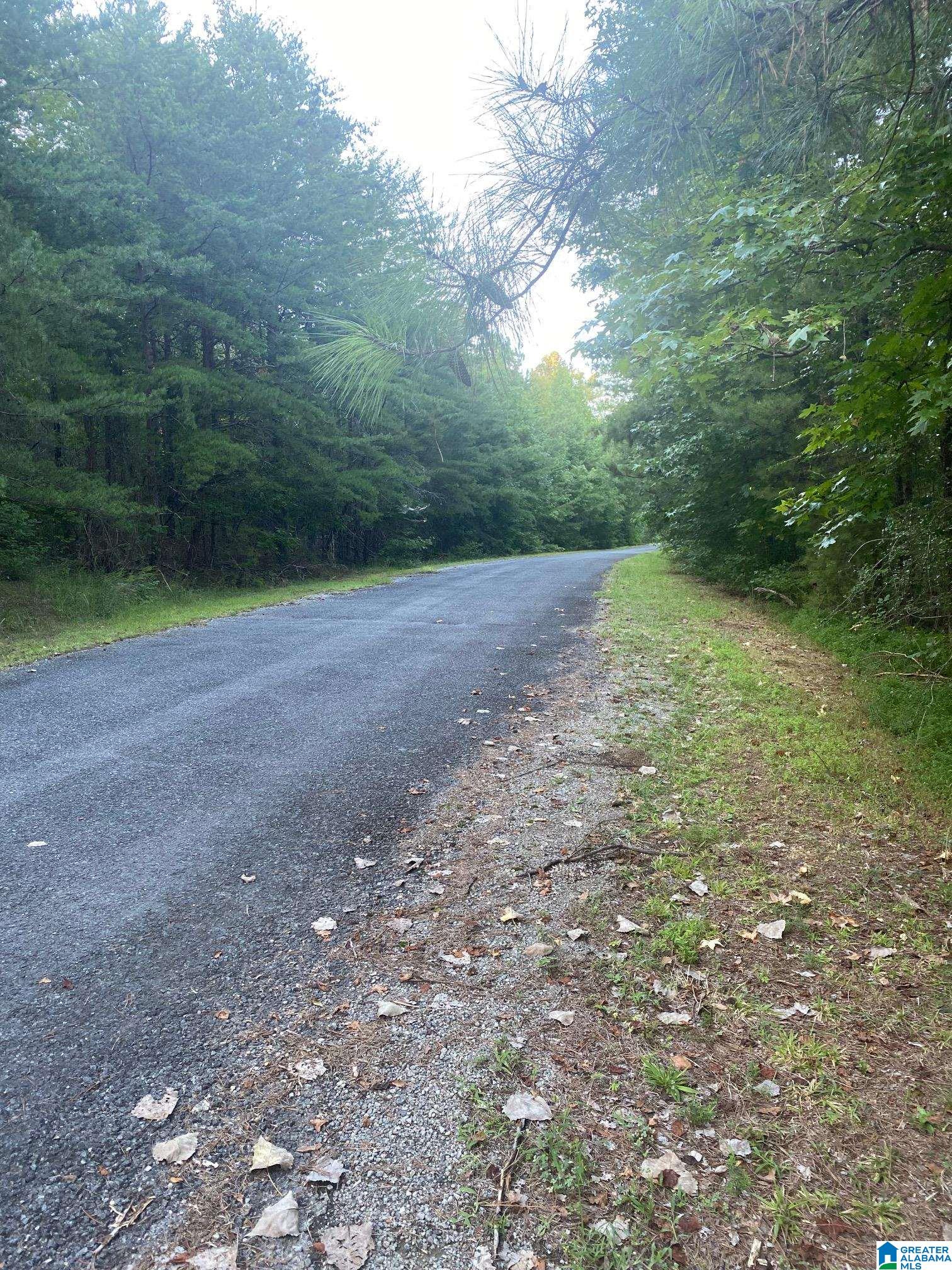 0 Ridge View Drive, Unit TRACT 2 Trussville, AL 35173 - Photo 5 of 5