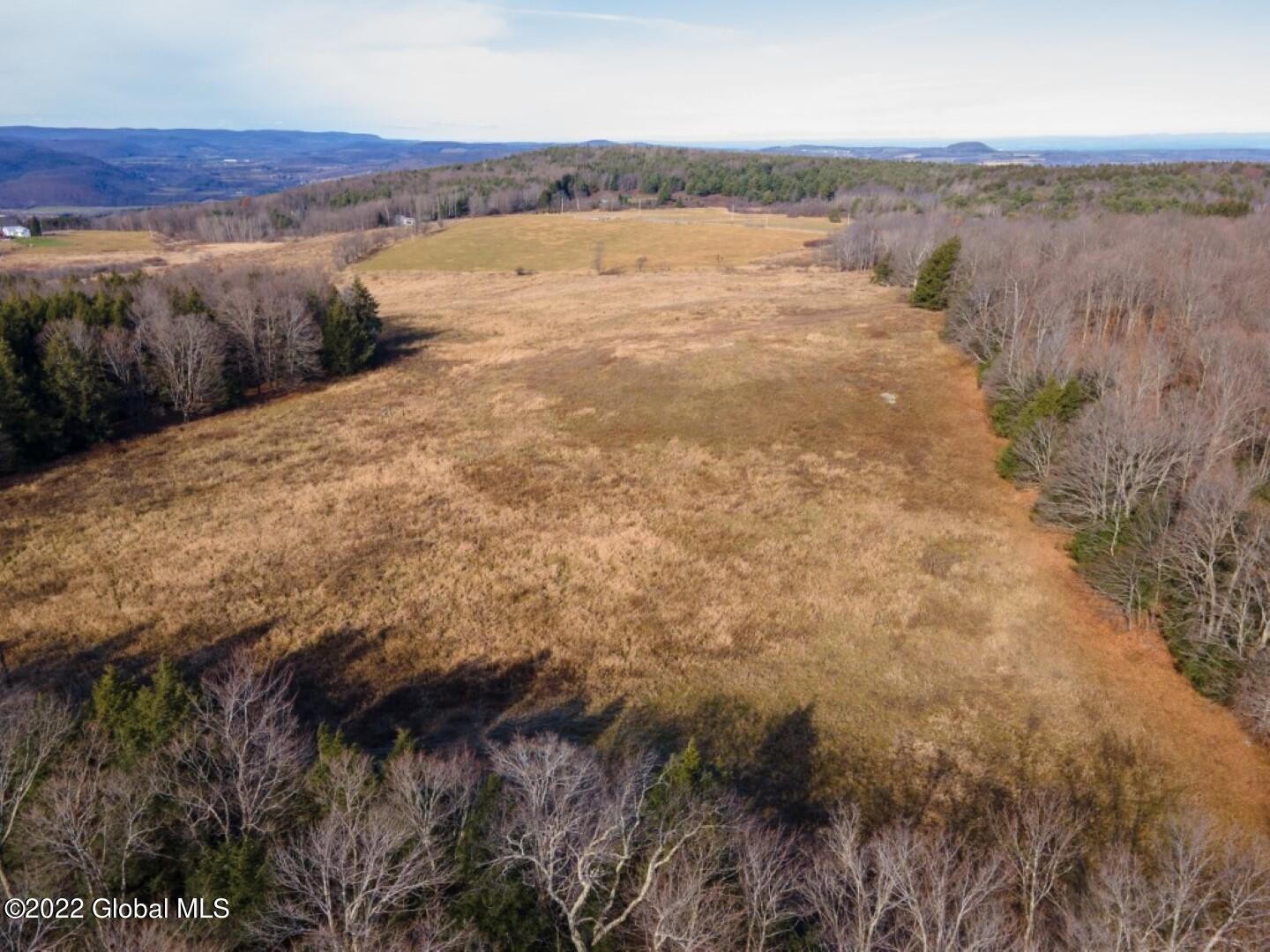 2029 West Fulton Road Warnerville, NY 12187 - Photo 3 of 7 DodgeLodgeLand-12 - Copy