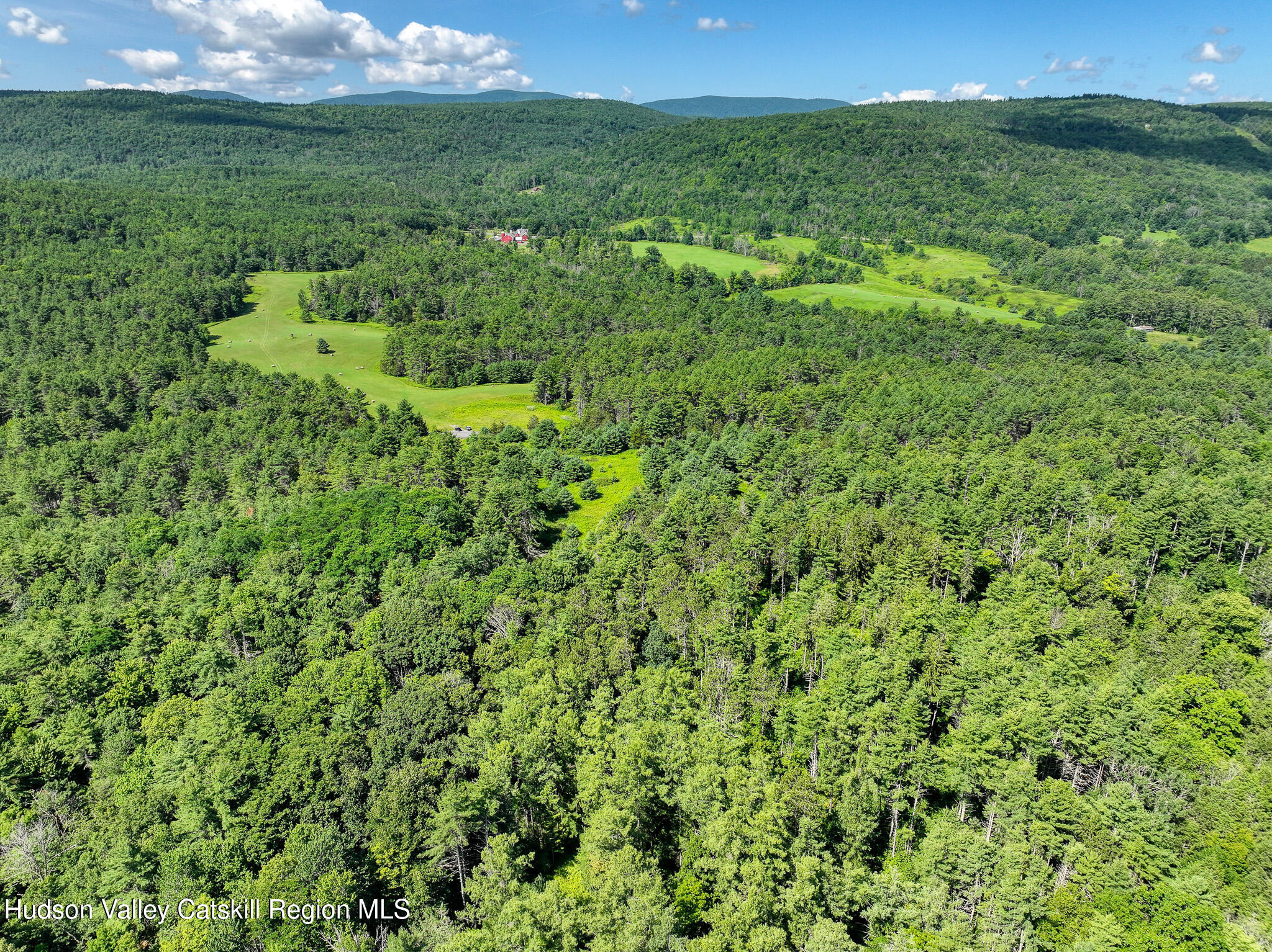 379 Stryker Road Gilboa, NY 12076 - Photo 7 of 22 DJI_20260720104114_0093_D