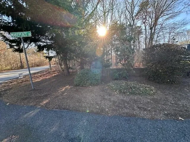 a view of a yard with trees