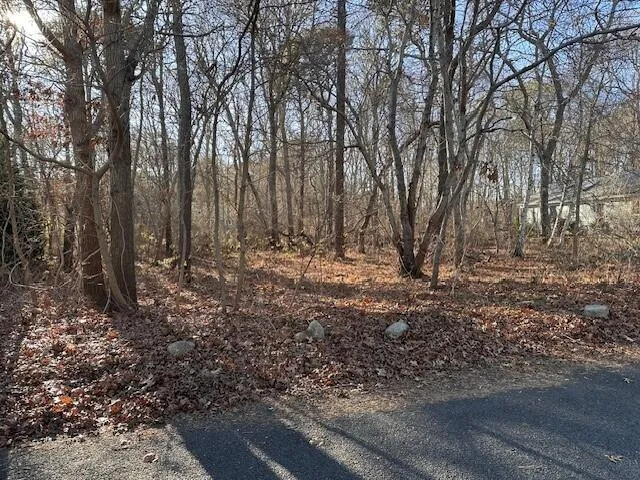a view of large yard with trees