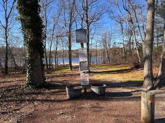 a view of a backyard with chairs