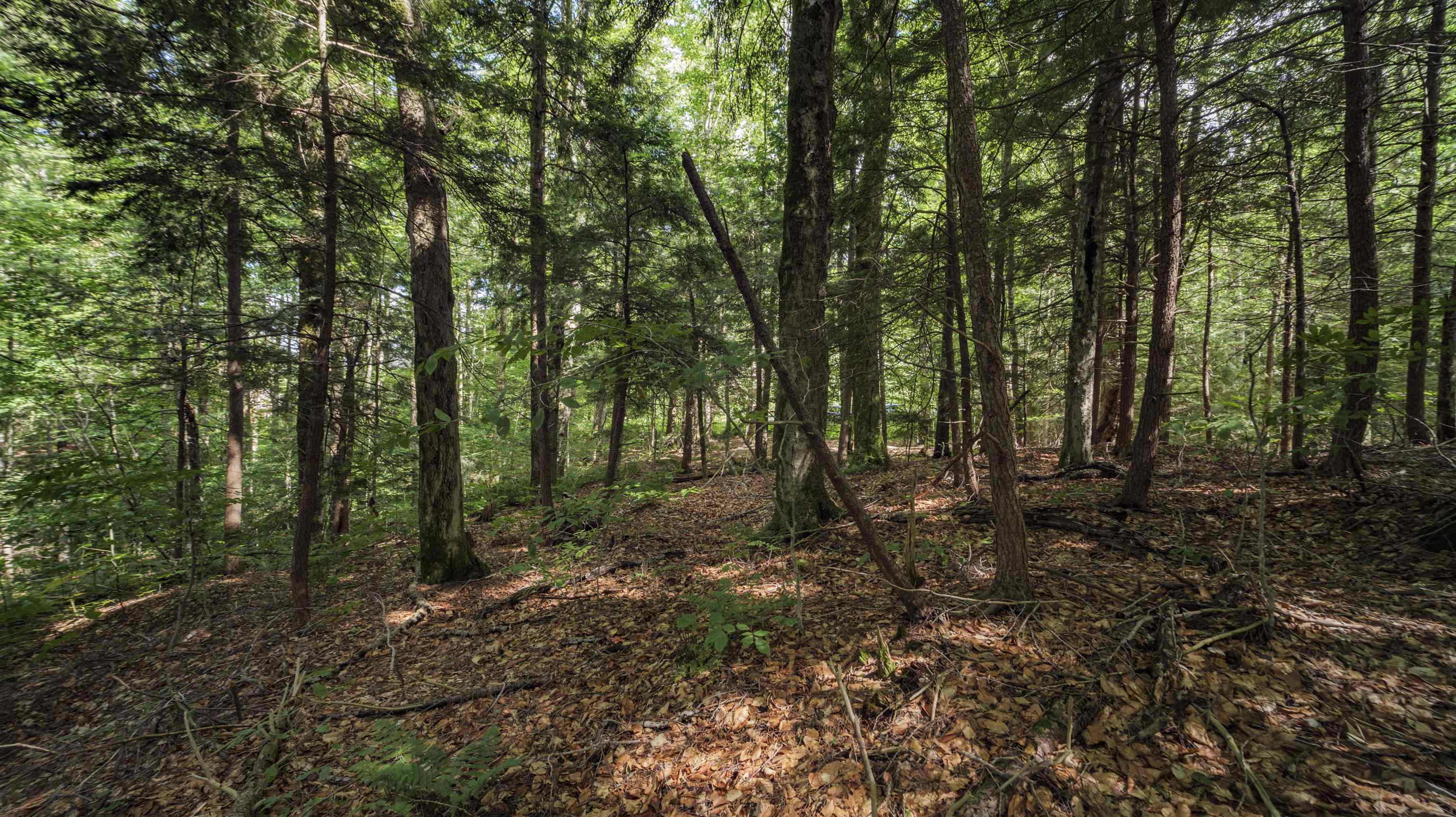 0 Ryder Pond Road Jacksonville, VT 05342 - Photo 5 of 17
