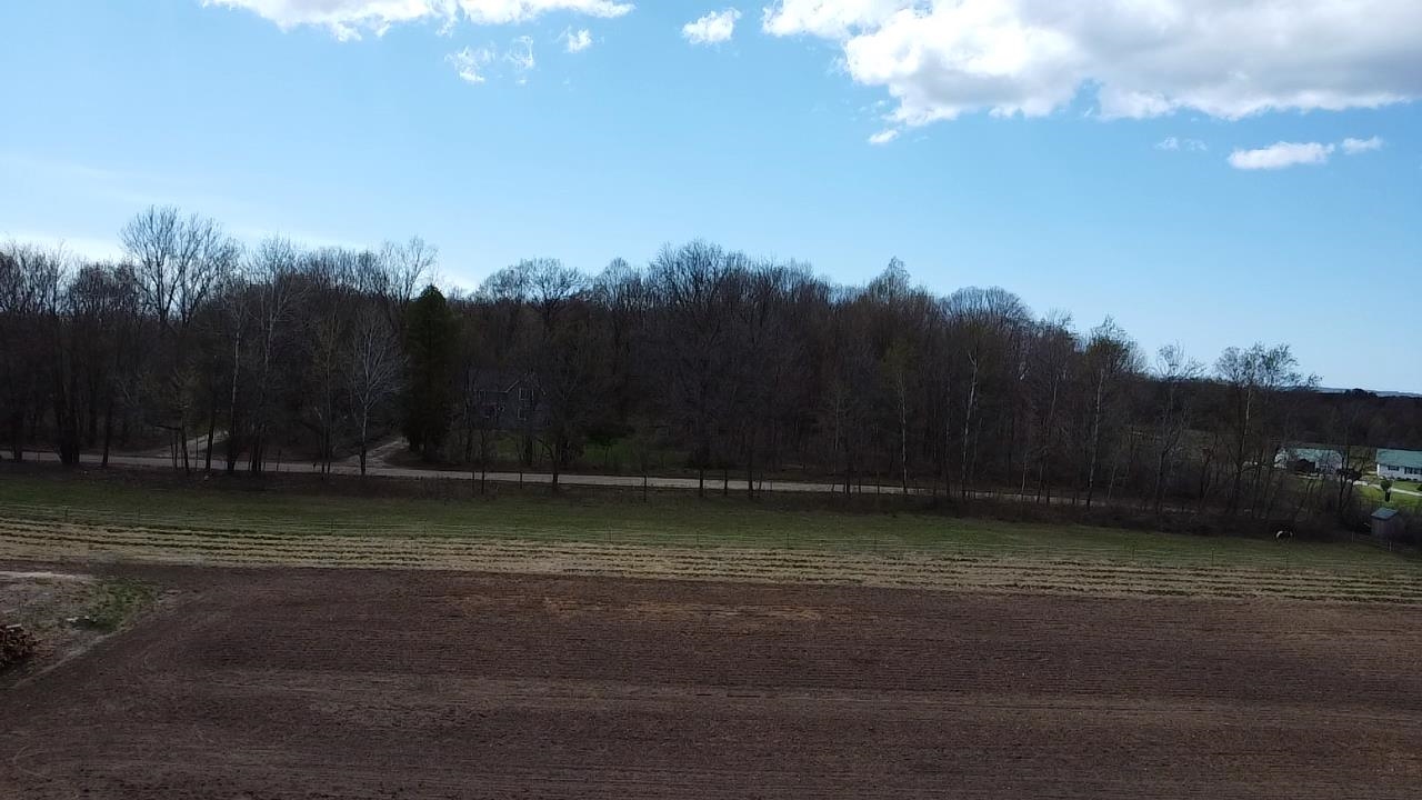 5417 Archer Road Brethren, MI 49619 - Photo 40 of 46