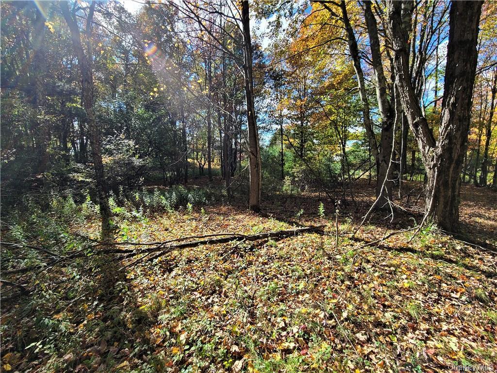 Lot 5.4 Kaufman Road Monticello, NY 12701 - Photo 36 of 45