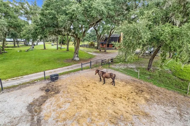 a view of a lake with a mountain in the background