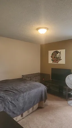 a bedroom with a bed and a cabinets