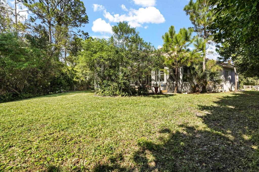 10370 Trout Road Orlando, FL 32836 - Photo 37 of 41 a view of outdoor space with deck and trees