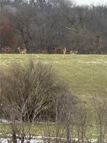 $250,000 | 5775 Southeast W Highway, Lathrop, MO 64465