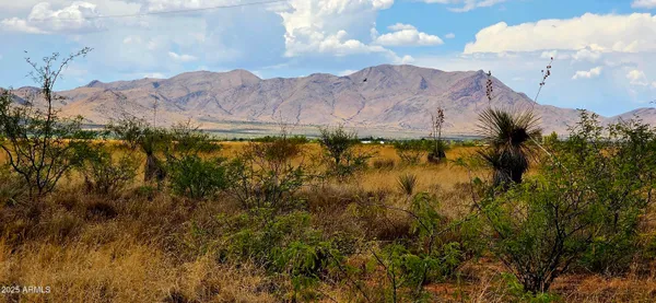 $8,700 | Lot 1 Willcox Road, Unit 1, Pearce, AZ 85625