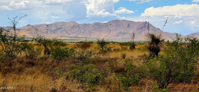 $9,000 | Lot 1 Willcox Road, Unit 1, Pearce, AZ 85625