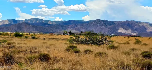 $9,000 | Lot 1 Willcox Road, Unit 1, Pearce, AZ 85625