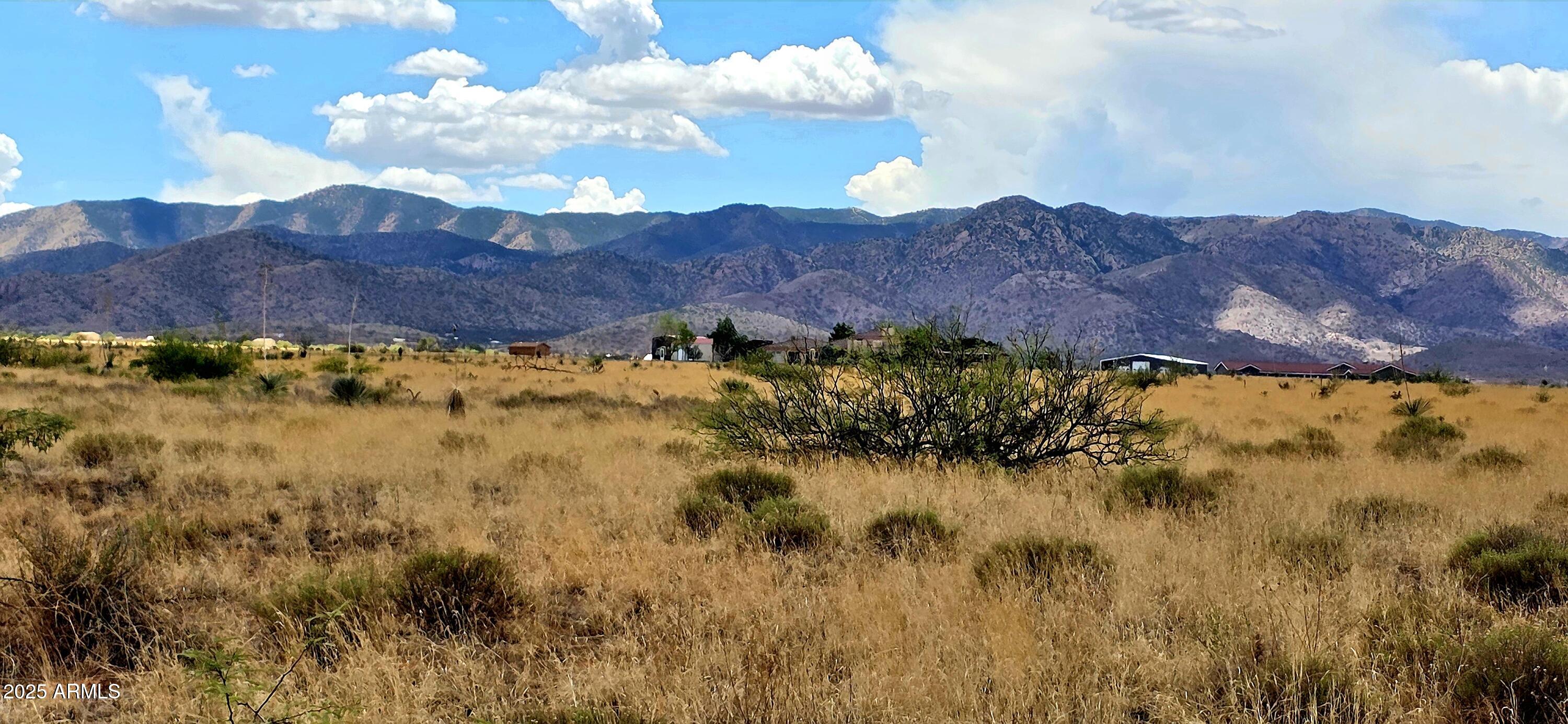 Lot 1 Willcox Road, Unit 1 Pearce, AZ 85625 - Photo 3 of 5 Lot 1 Willcox Road
