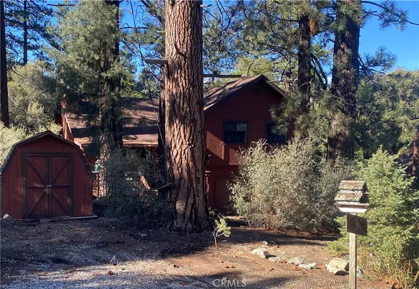 a view of a yard with plants and trees