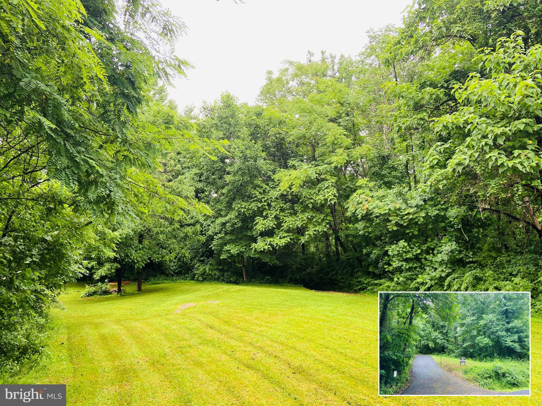 9 CCC Road Linden, VA 22642 - Photo 1 of 53 Gallery Image 1