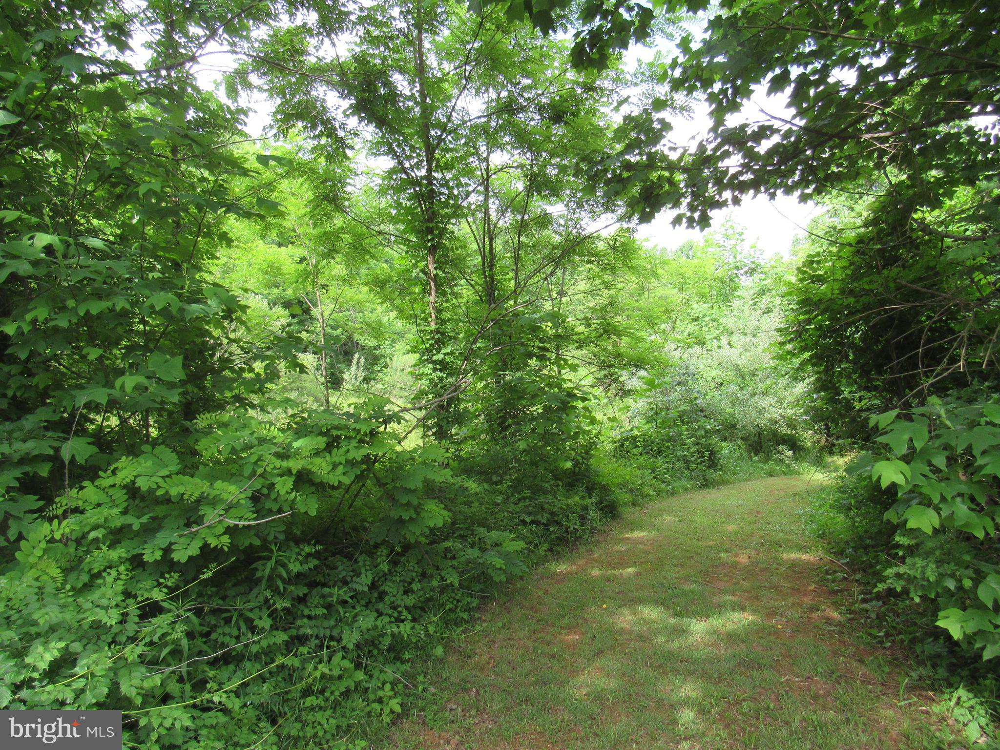 9 CCC Road Linden, VA 22642 - Photo 12 of 53 Gallery Image 12