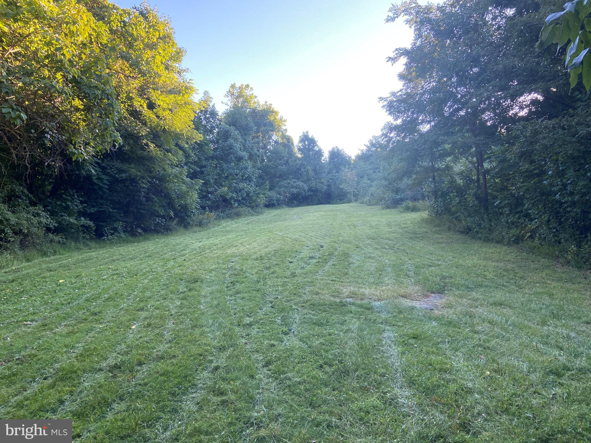9 CCC Road Linden, VA 22642 - Photo 13 of 53 Gallery Image 13
