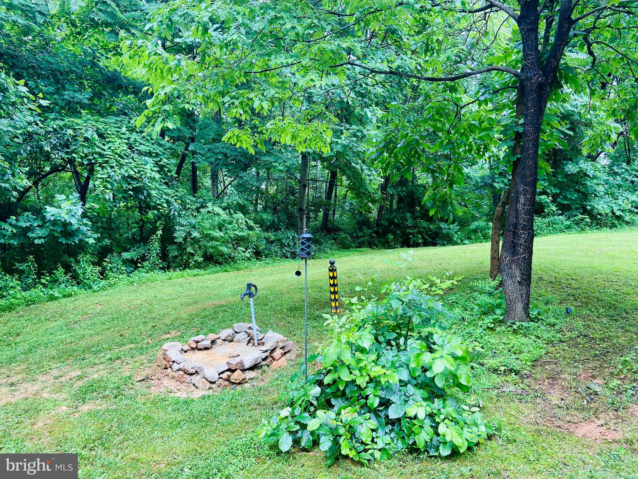 9 CCC Road Linden, VA 22642 - Photo 19 of 53 Gallery Image 19