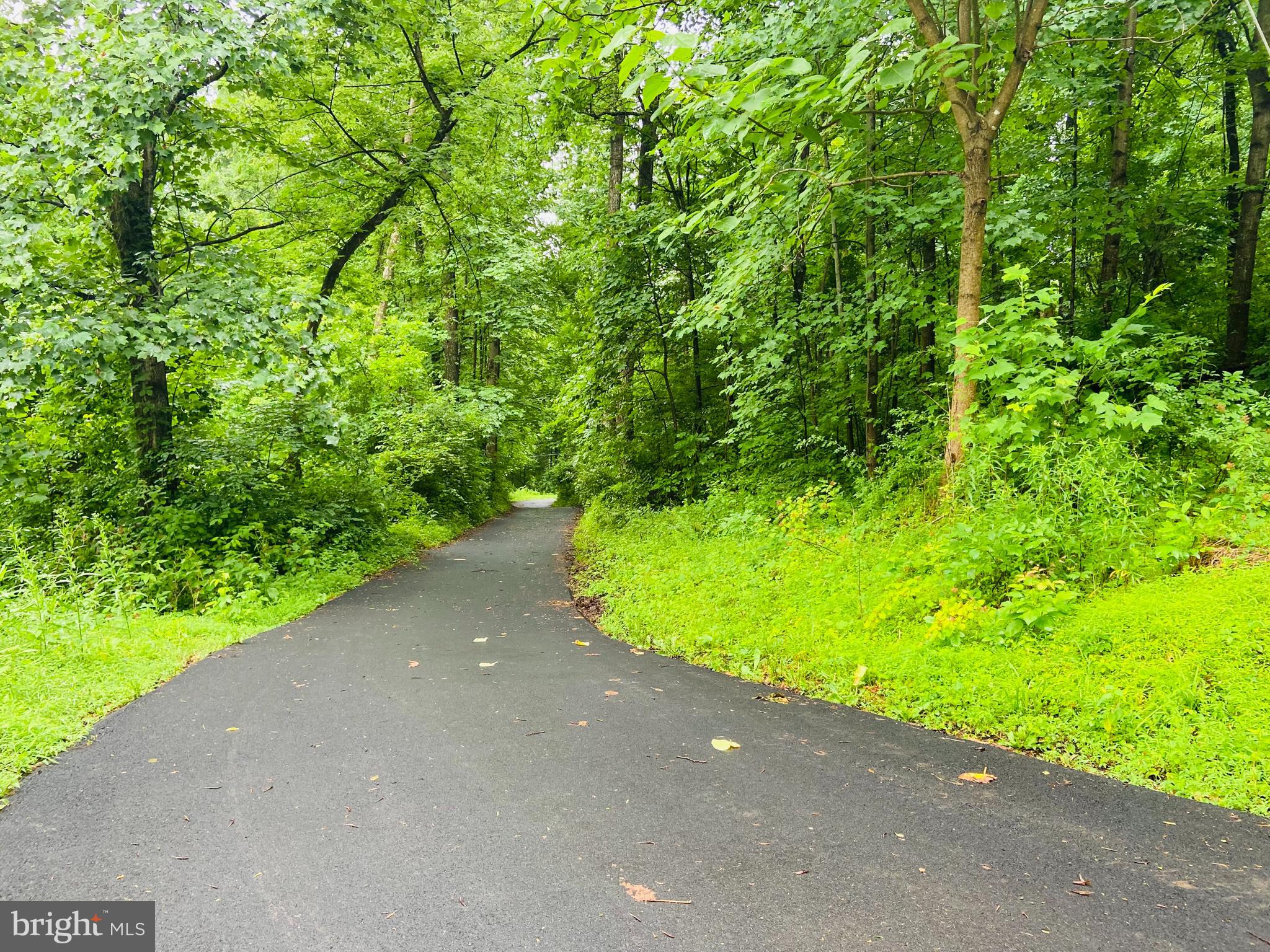 9 CCC Road Linden, VA 22642 - Photo 2 of 53 Gallery Image 2