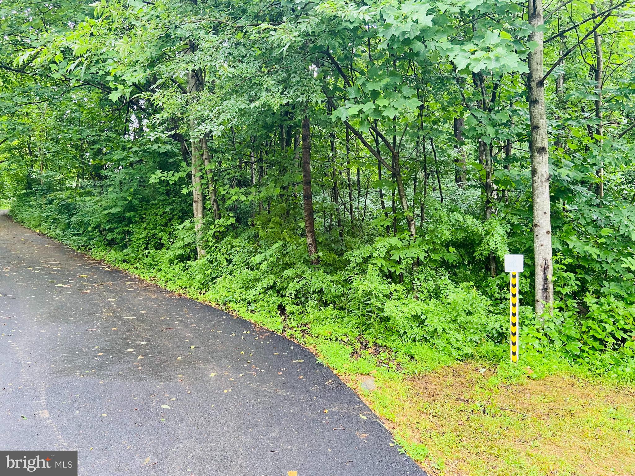 9 CCC Road Linden, VA 22642 - Photo 26 of 53 Gallery Image 26