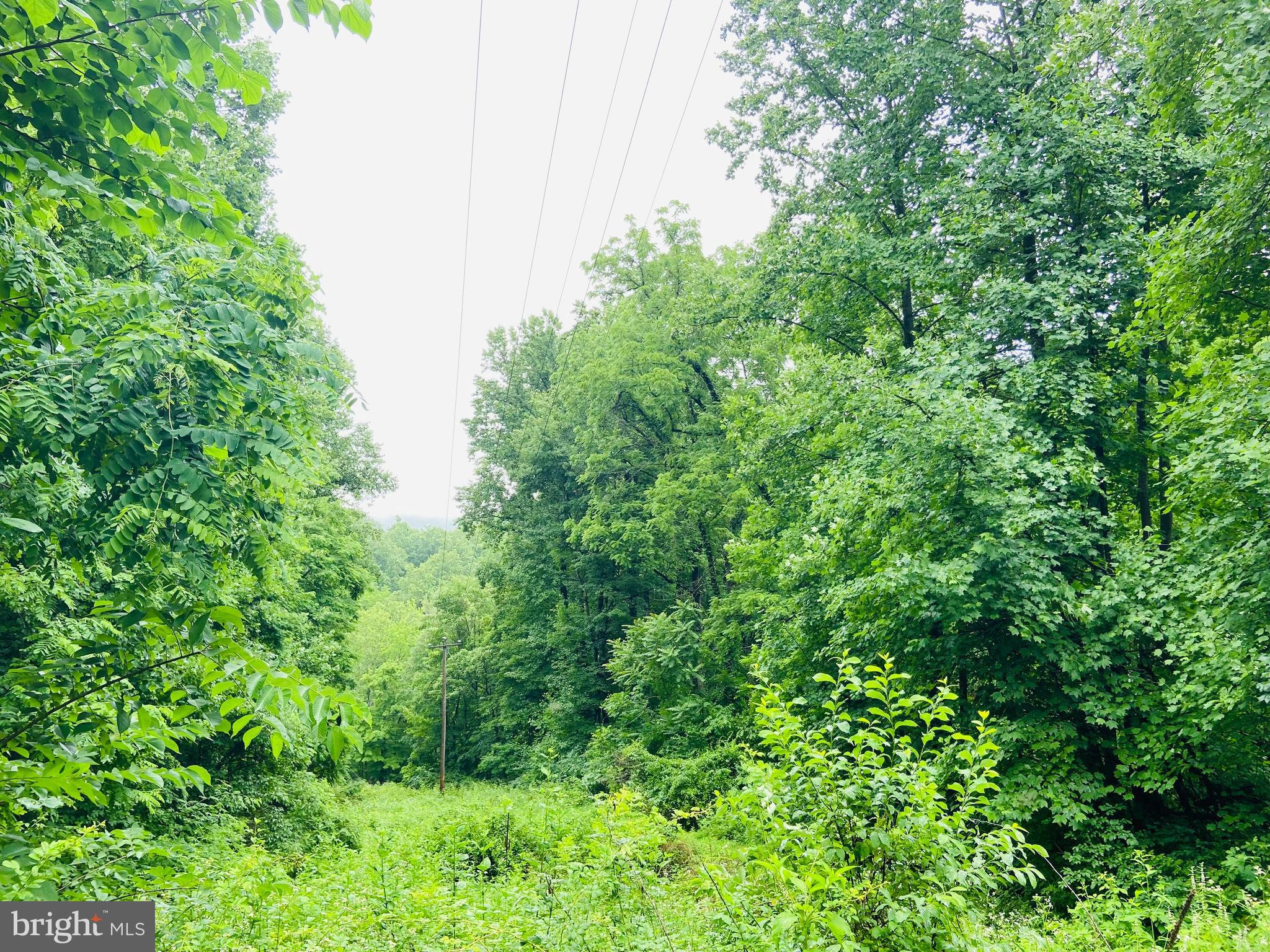 9 CCC Road Linden, VA 22642 - Photo 33 of 53 Gallery Image 33