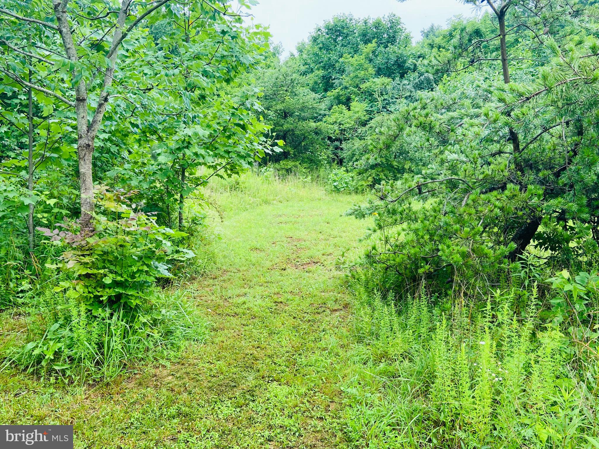 9 CCC Road Linden, VA 22642 - Photo 36 of 53 Gallery Image 36