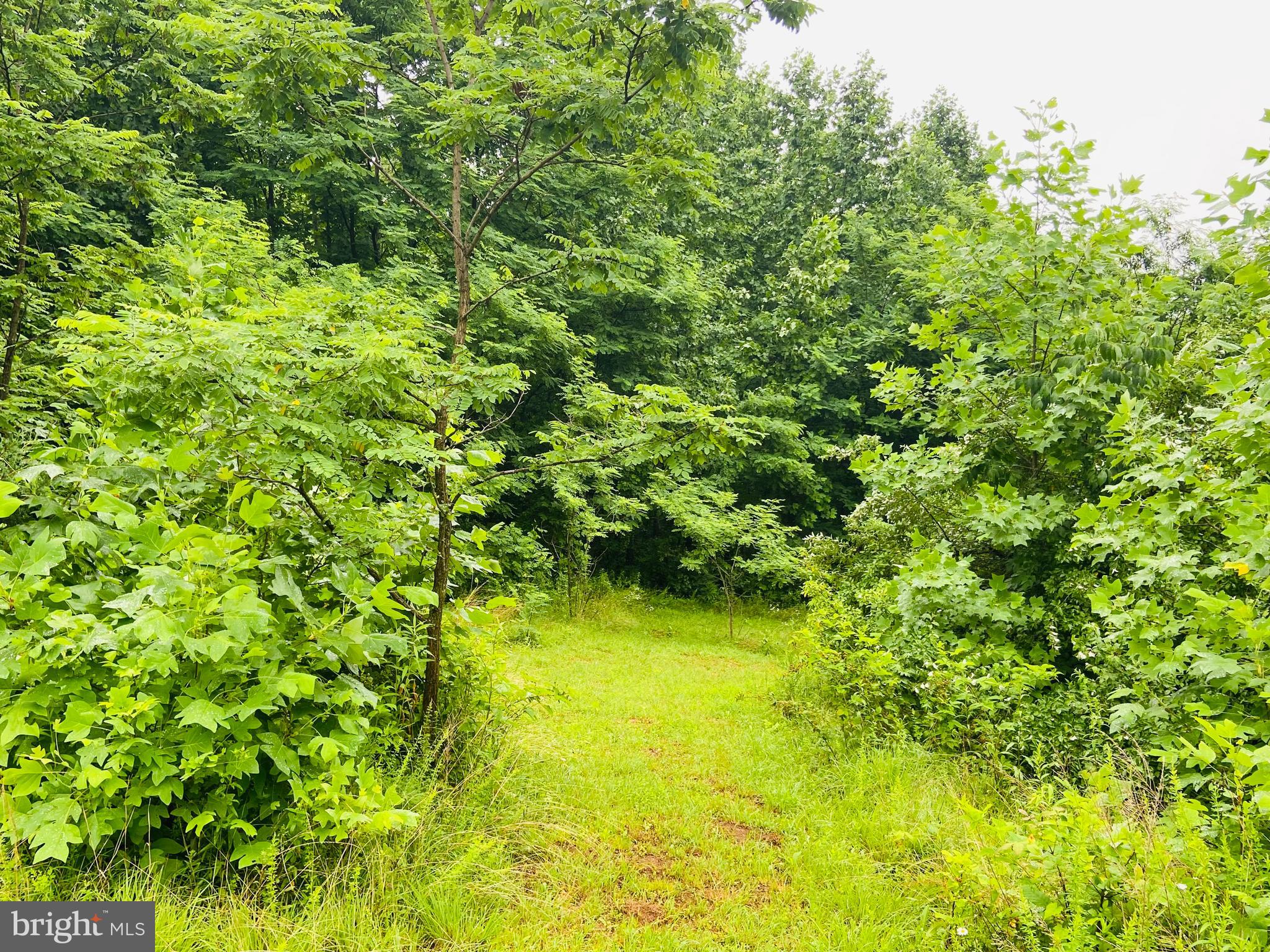 9 CCC Road Linden, VA 22642 - Photo 38 of 53 Gallery Image 38