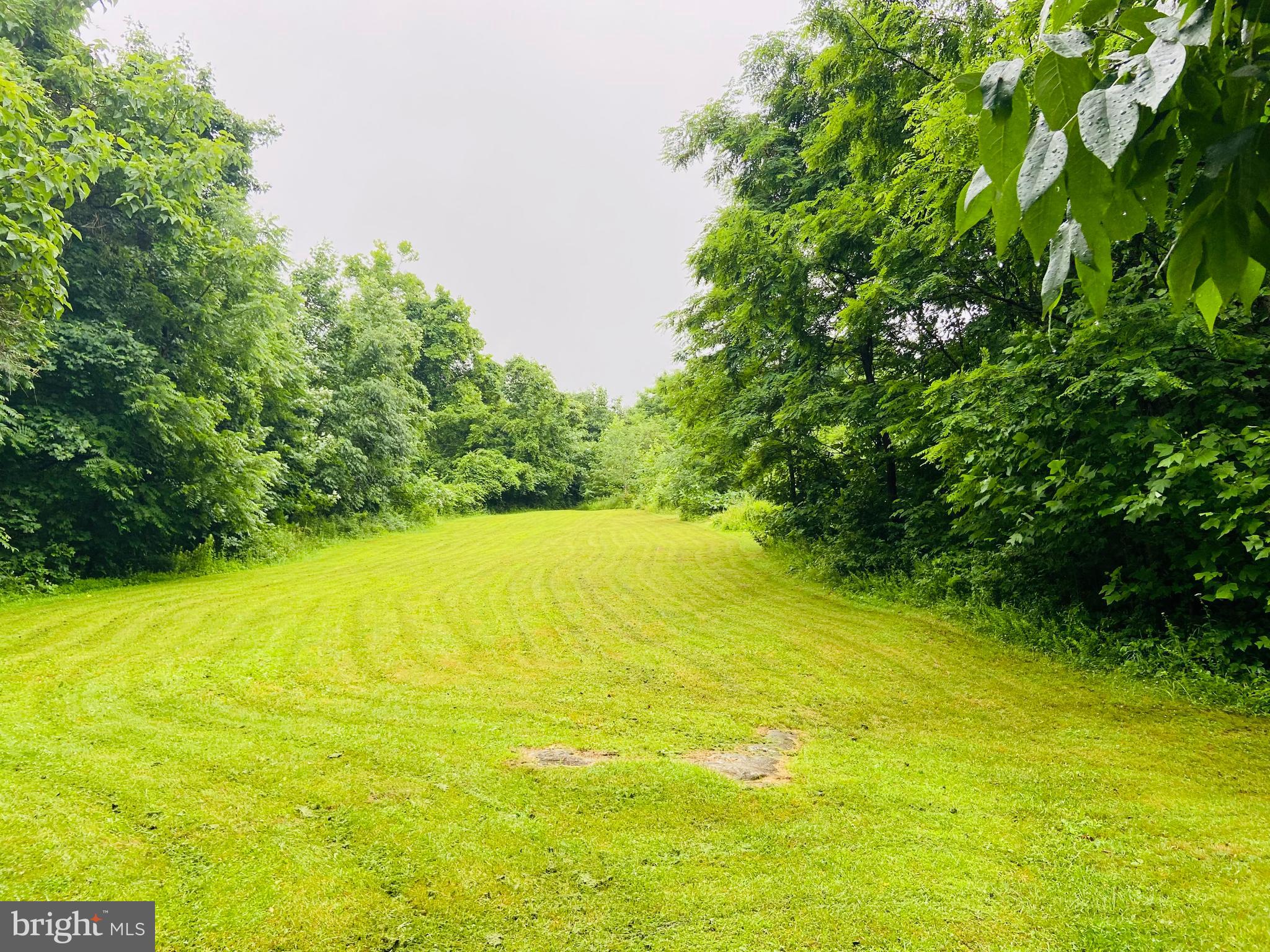 9 CCC Road Linden, VA 22642 - Photo 43 of 53 Gallery Image 43