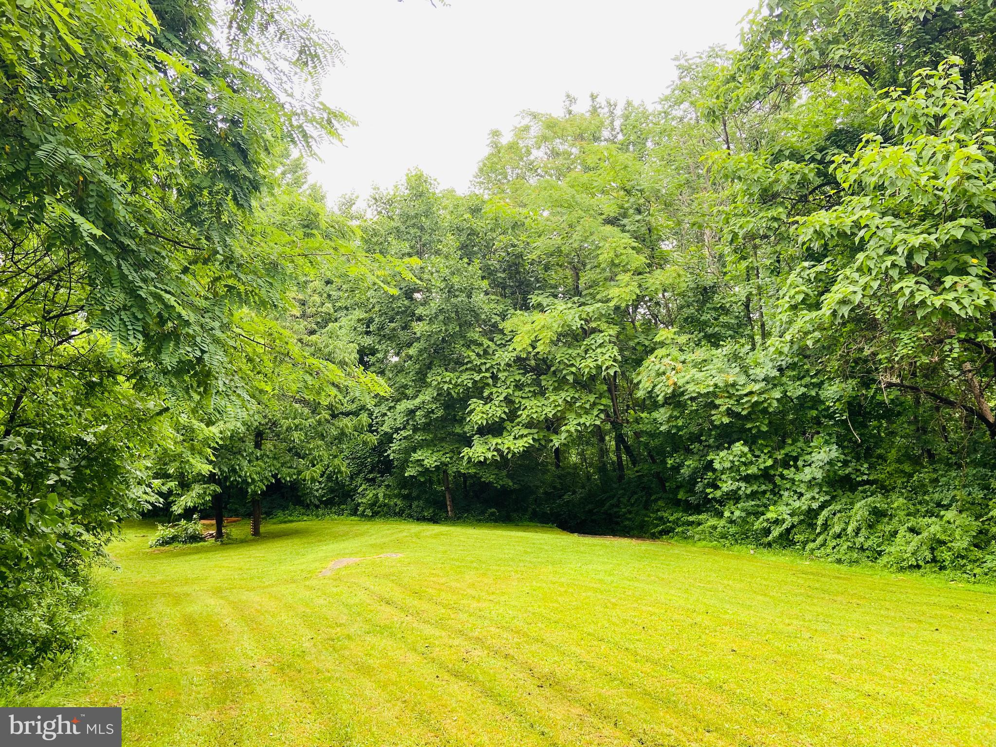9 CCC Road Linden, VA 22642 - Photo 45 of 53 Gallery Image 45