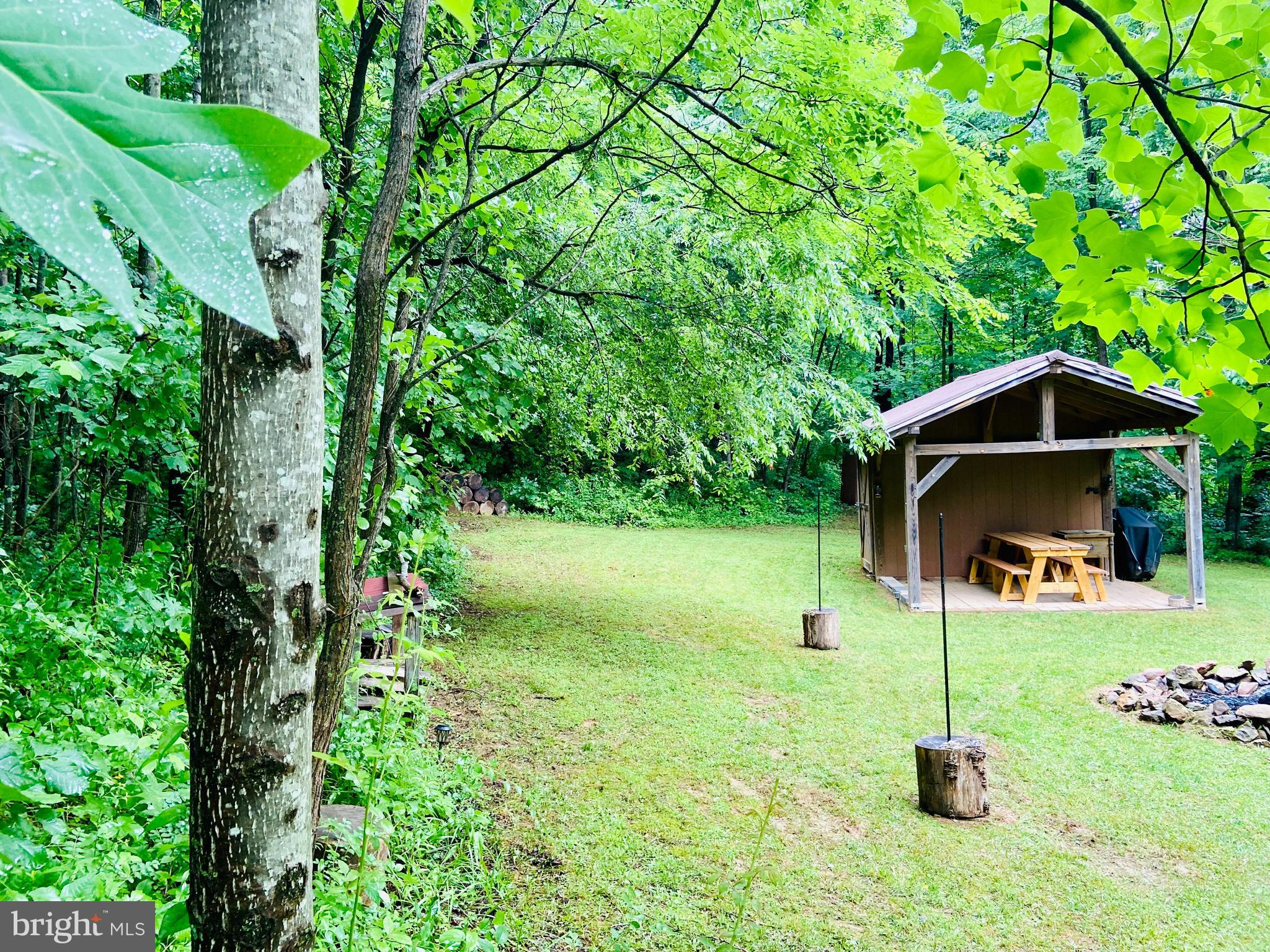 9 CCC Road Linden, VA 22642 - Photo 47 of 53 Gallery Image 47