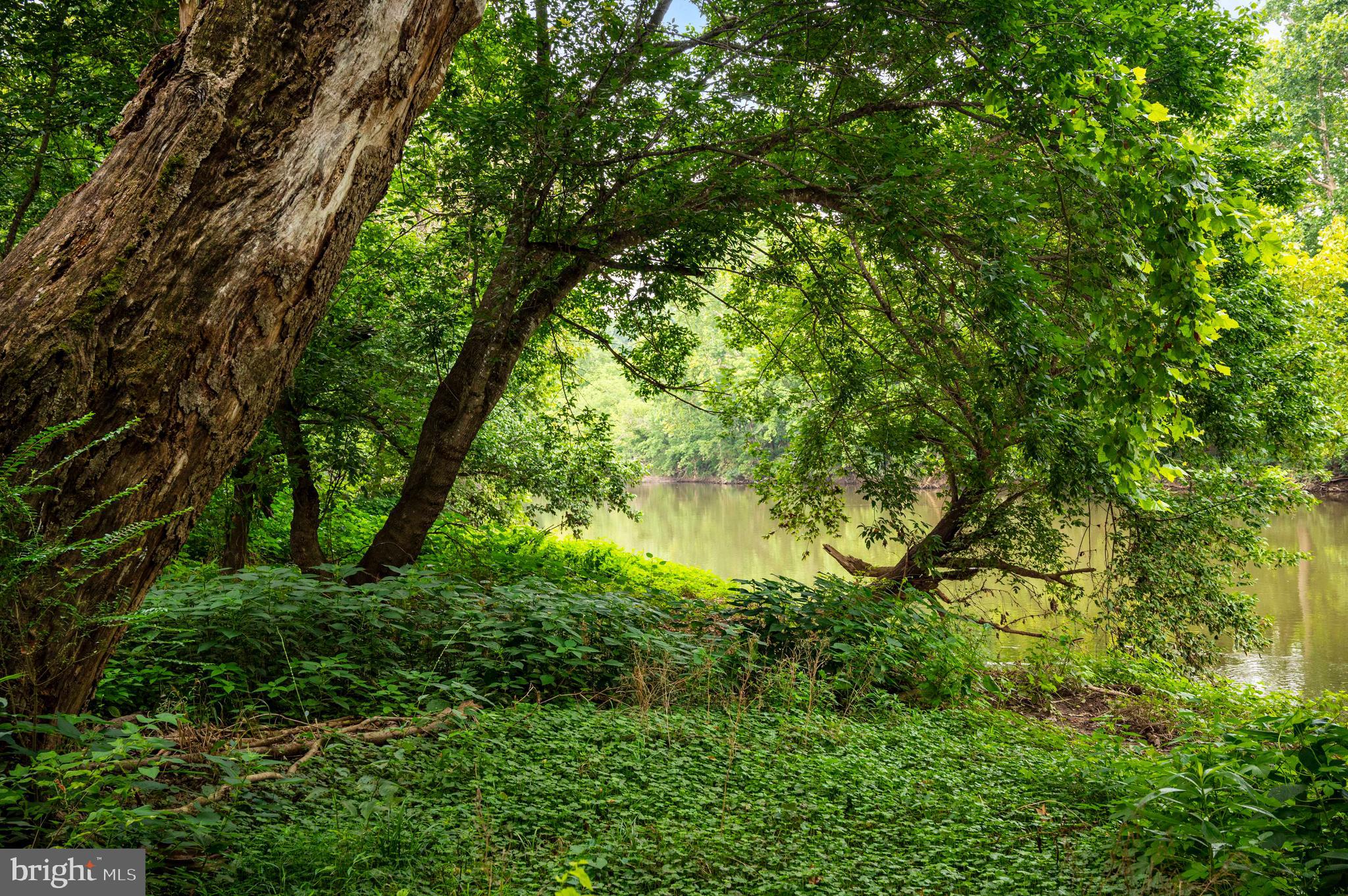 Lot 46 Strasburg Road Strasburg, VA 22657 - Photo 23 of 27 a backyard of a house with lots of green space