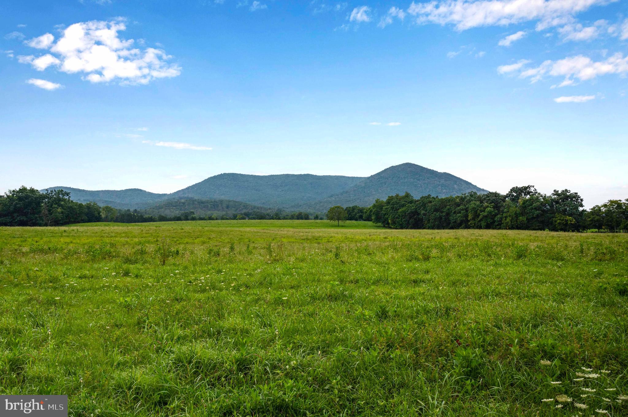 Lot 46 Strasburg Road Strasburg, VA 22657 - Photo 25 of 27 a view of a lake and mountain view