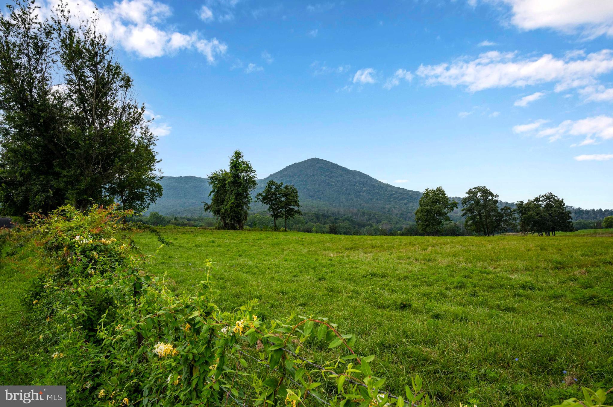 Lot 46 Strasburg Road Strasburg, VA 22657 - Photo 26 of 27 a view of a field with an ocean