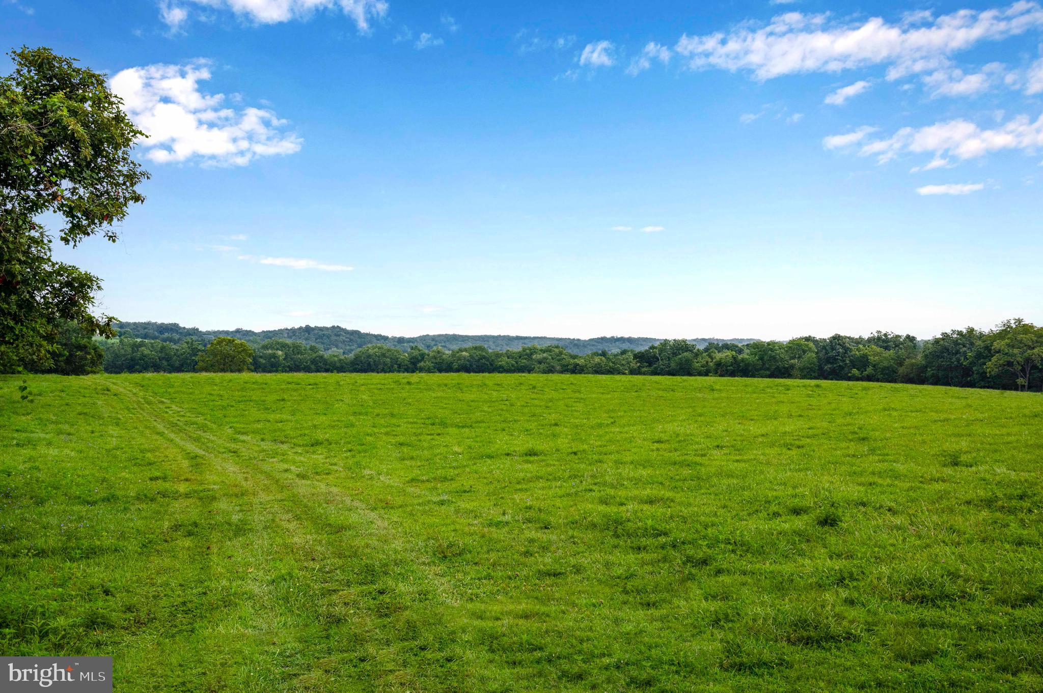 Lot 46 Strasburg Road Strasburg, VA 22657 - Photo 27 of 27 a view of a green field with an ocean