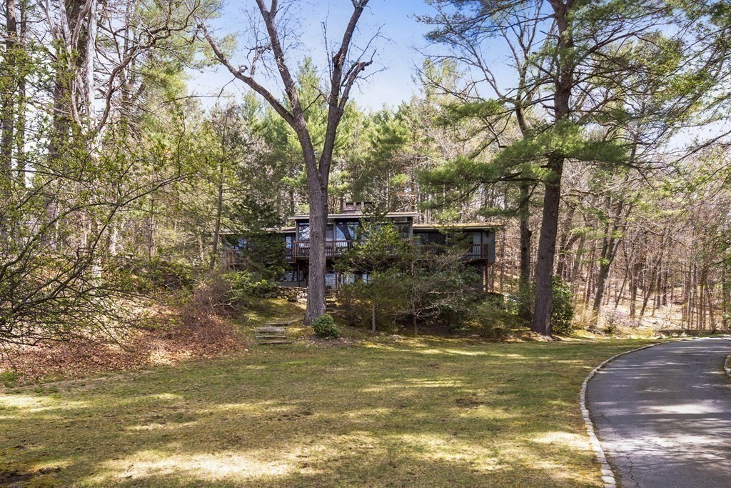a view of a yard with large trees