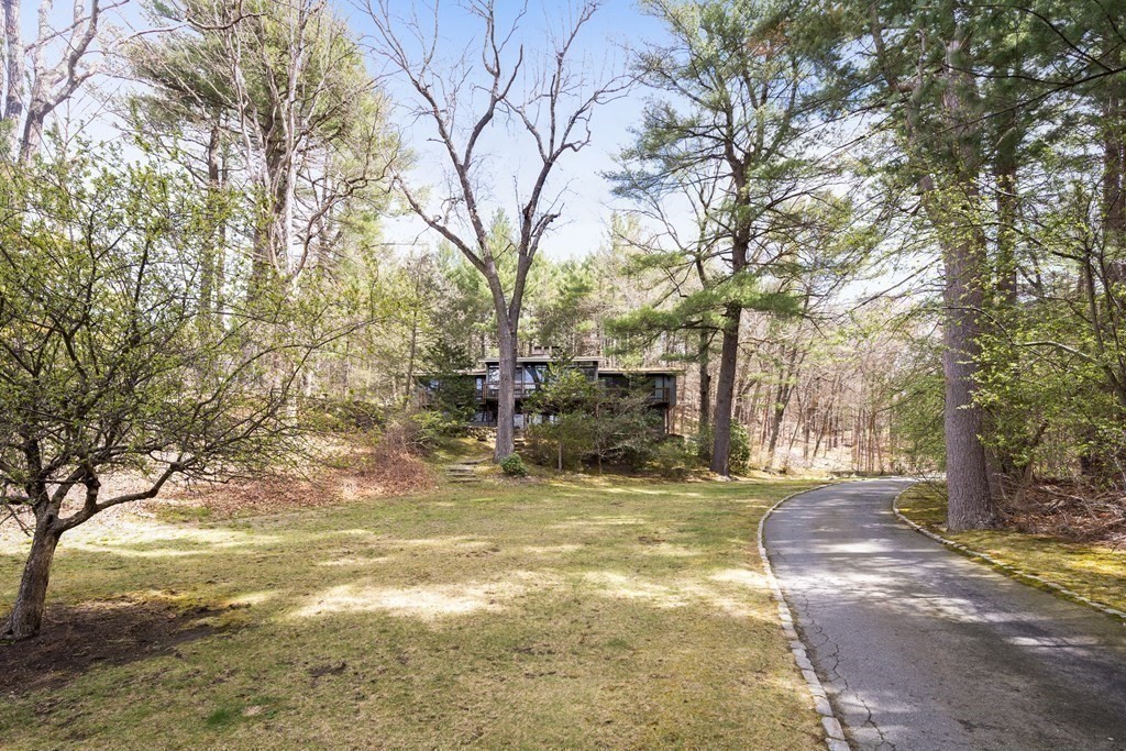 61 Scotch Pine Road Weston, MA 02493 - Photo 33 of 39 a view of a yard with a tree