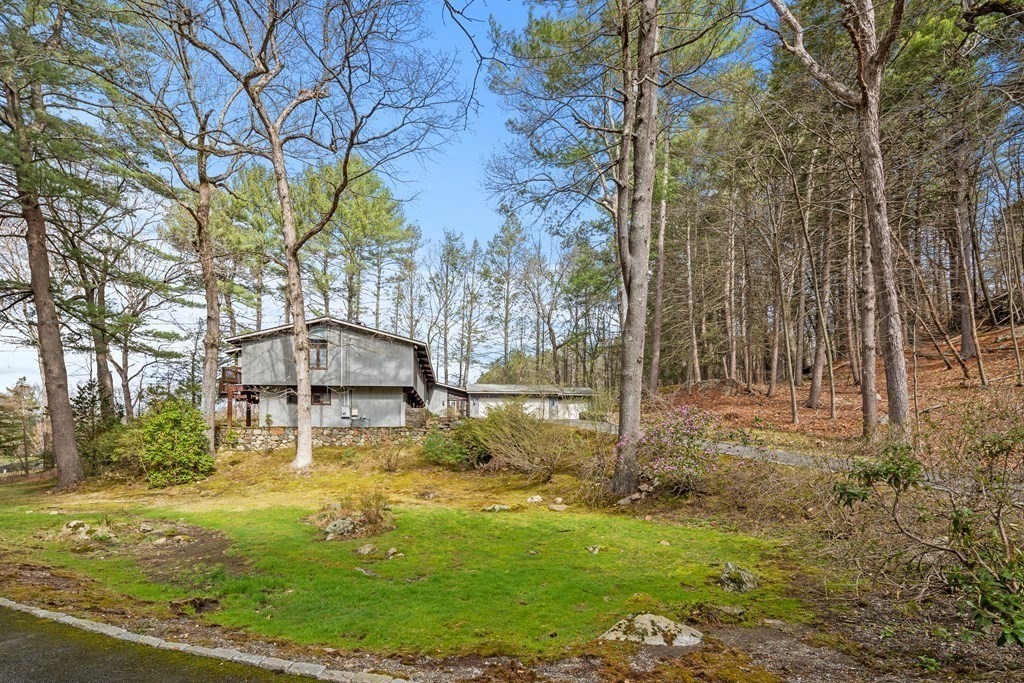 61 Scotch Pine Road Weston, MA 02493 - Photo 37 of 39 a view of a garden with a bench