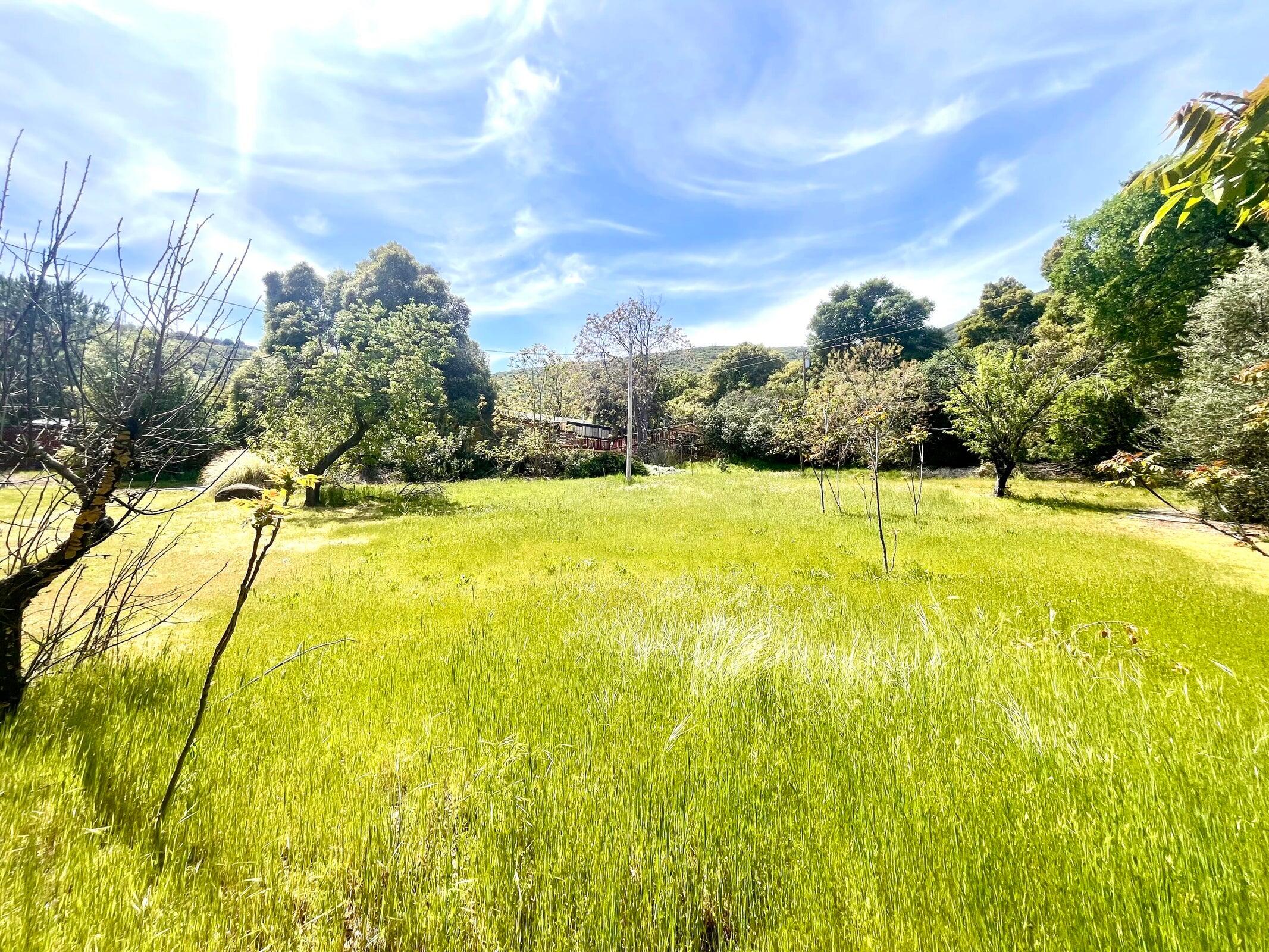 8987 Soda Bay Road Kelseyville, CA 95451 - Photo 46 of 61 a view of an swimming pool with an outdoor space