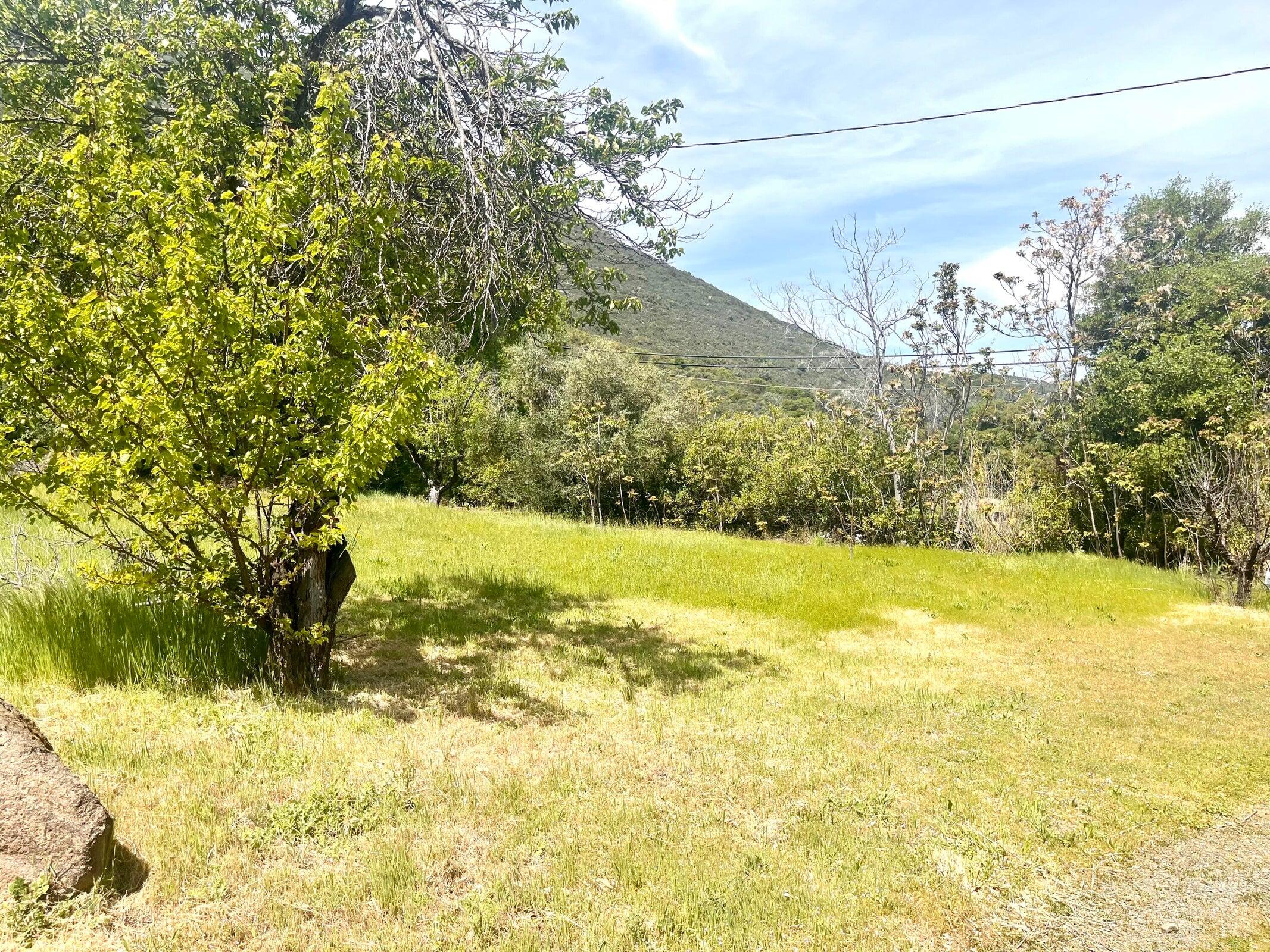 8987 Soda Bay Road Kelseyville, CA 95451 - Photo 48 of 61 20250422060930538882000000-o