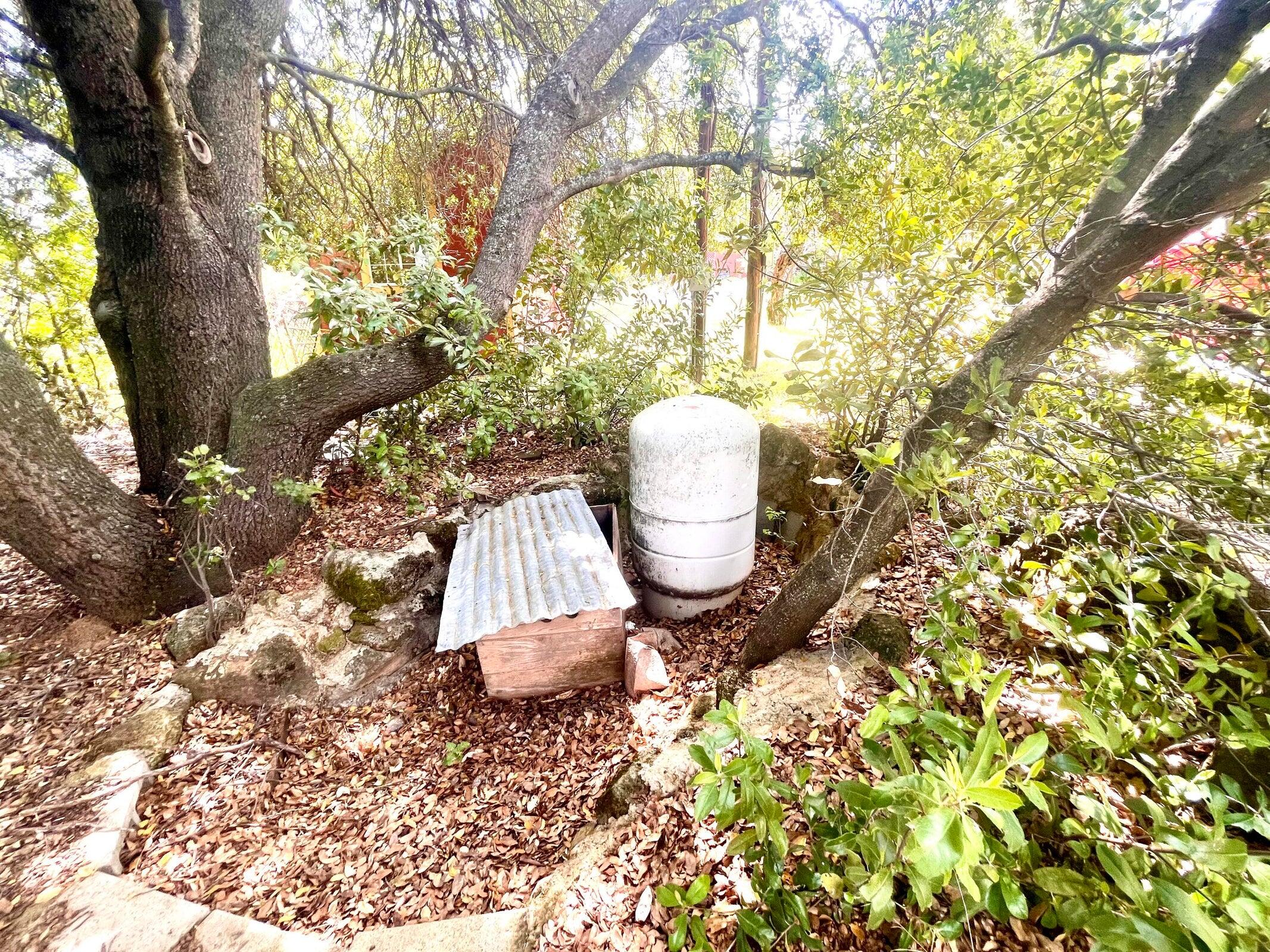 8987 Soda Bay Road Kelseyville, CA 95451 - Photo 49 of 61 a view of yard from deck with large tree