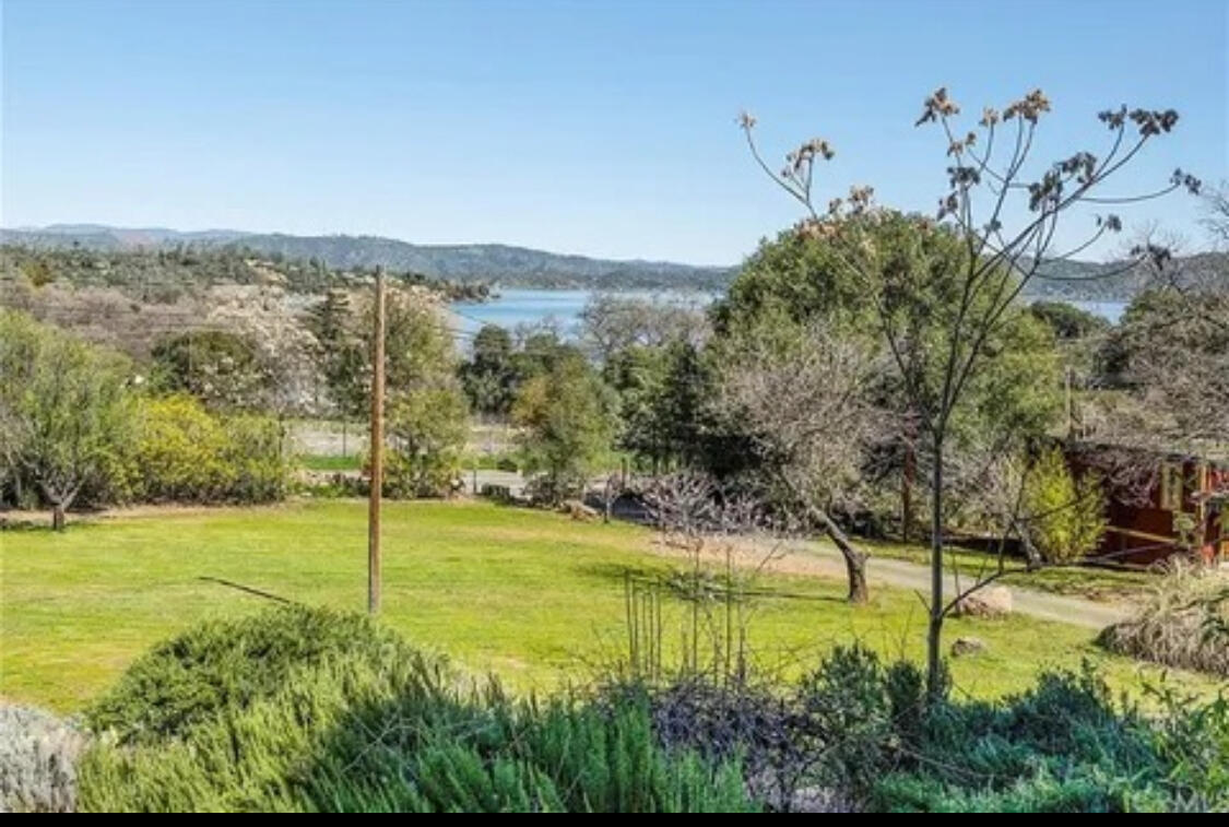 8987 Soda Bay Road Kelseyville, CA 95451 - Photo 52 of 61 20250422061340091139000000-o