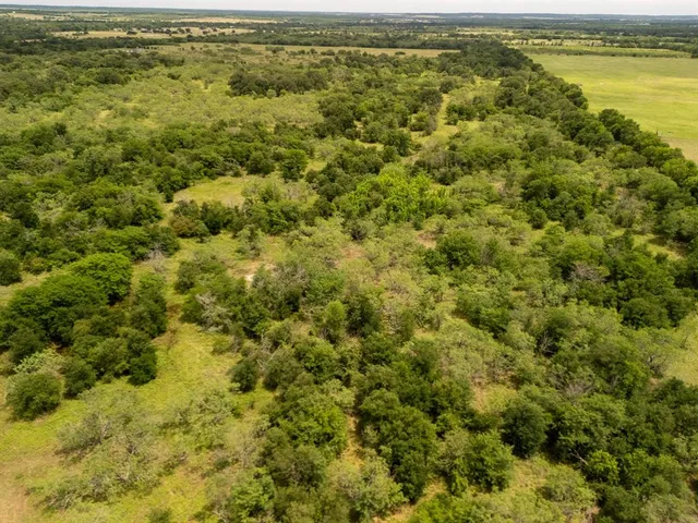 an aerial view of residential houses with outdoor space and trees
