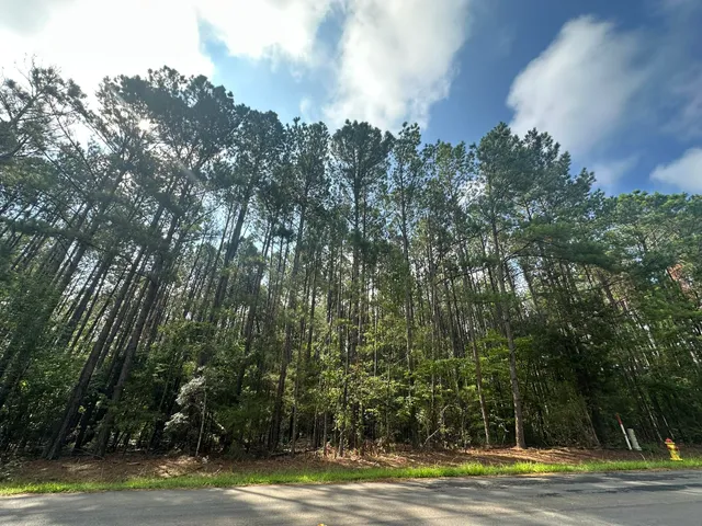 $194,900 | Lot 2 Dogwood Lane, Plum Branch, SC 29845