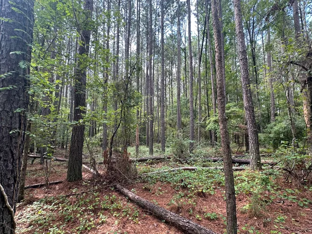 $194,900 | Lot 2 Dogwood Lane, Plum Branch, SC 29845
