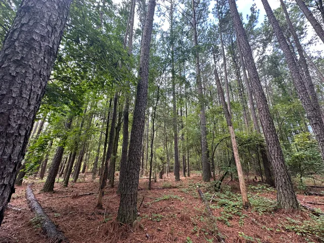 $194,900 | Lot 2 Dogwood Lane, Plum Branch, SC 29845