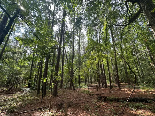 $194,900 | Lot 2 Dogwood Lane, Plum Branch, SC 29845